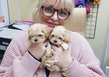 Фото компании ООО Планета 6