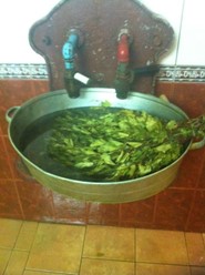 Фото компании  Казачьи Бани, кафе 1