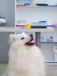 Фото компании  Веда 8