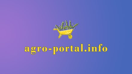 Фото компании  Агро-3 1