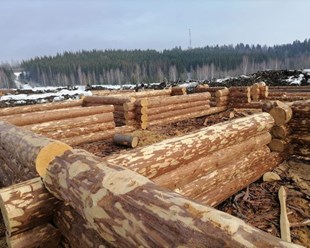 Возведение дома из бревна ручной рубки