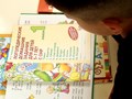 Фото компании  Разноцветные Цыплята 4