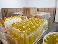 Фото компании ООО «ЛИНДЕН». 5