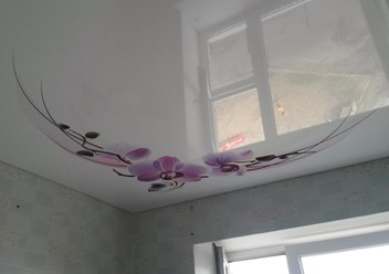 Фото компании  Велес 2