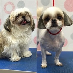 Фото компании  Зоосалон Мон Ами 1