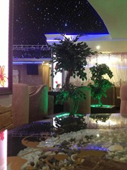 Фото компании  Vittoria 35