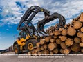 Фото компании ООО «ГосЛесФонд» 5