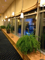 Фото компании  Cote Azur, ресторан 1