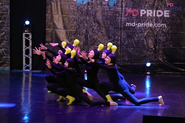 Фото компании  Школа современного танца "Ника" 4