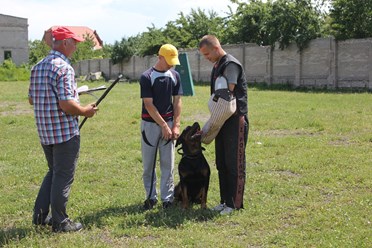 Фото компании  Питомник немецких овчарок и дрессировочный центр ENGELEND 2