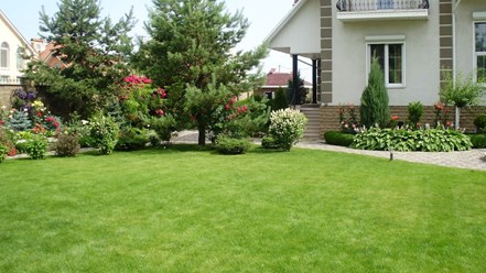 Фото компании ИП Ставропольские рулонные газоны 6