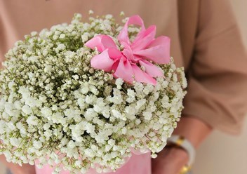 Фото компании  Дом цветов 6