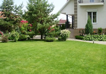 Фото компании ИП Ставропольские рулонные газоны 6