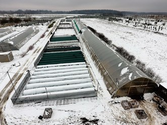 Начало зимы 2016 года в питомнике Внуково. Все растения готовы к зиме.