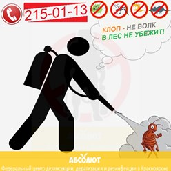 АБСОЛЮТ профессионально уничтожим клопов в Красноярске, тараканов, муравьев, блох звоните: 215-01-13