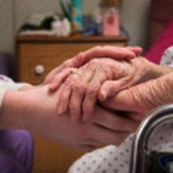 Фото компании  Дарина 1