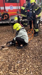 Фото компании АНО ДПО "Развитие" 5