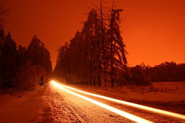 Фотография выполнена преподавателем Одношевным Александром Ивановичем.