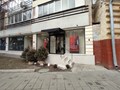 Экстерьер