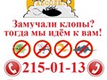 АБСОЛЮТ профессионально уничтожим клопов в Красноярске, тараканов, муравьев, блох звоните: 215-01-13