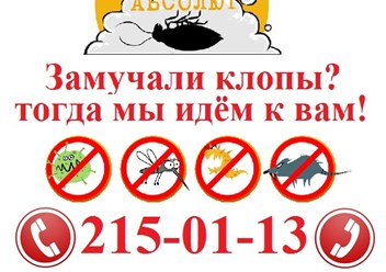 АБСОЛЮТ профессионально уничтожим клопов в Красноярске, тараканов, муравьев, блох звоните: 215-01-13
