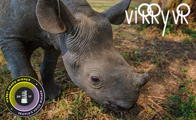 Отправляйтесь в виртуальное сафари, не выходя из дому, и взгляните поближе на редких и экзотических диких животных Северной Кении.