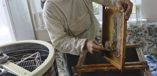 Фото компании ООО Кубанская Пасека 2