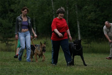 Фото компании  Кинологический центр Ясеневый 6