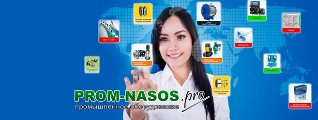 www.prom-nasos.pro
