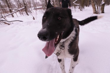 Фото компании  РОО «Экология человека» 3