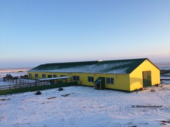 Рабочая ферма по содержанию молочного КРС с производственными мощностями в п.Дивное.