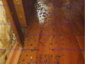 Фото компании  ДезГород Тольятти 7