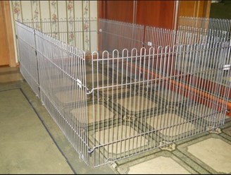 Фото компании ООО СмартДог24 1