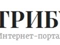 Фото компании ООО Интернет - портал "Трибуна24" 1