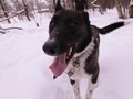 Фото компании  РОО «Экология человека» 3
