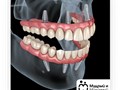 Фото компании ООО Мудрый и Молочный 5