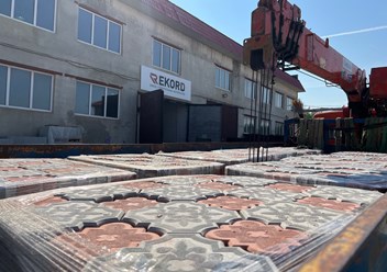 Клевер Краковский