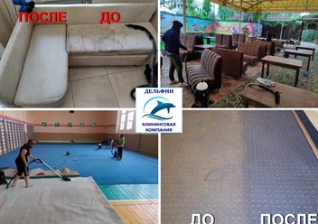 Фото компании  Дельфин 4