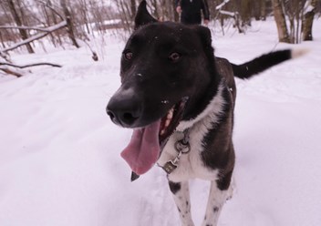 Фото компании  РОО «Экология человека» 3