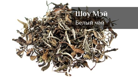 Фото компании ИП Все Цвета Чая 2