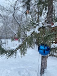 Фото компании ИП ДОН 10