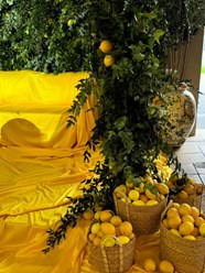 Фото компании ООО Особняк Bistrot 2