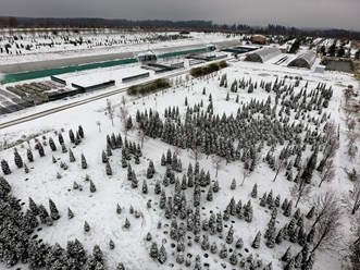 Туи и теплицы зимой в питомнике Внуково