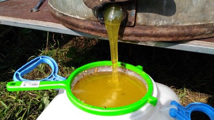 Мёд пчелиный - жидкое золото России и Курганской области.