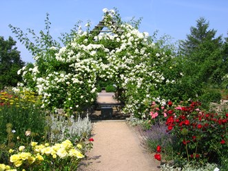 Фото компании  "Заботливый садовник" 9