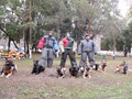 Фото компании ООО Омский областной центр спортивно-служебного собаководства 3