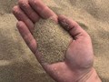 Фото компании  Песок, грунт, гравий, щебень в Рузе и Можайске 2