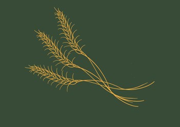 КФХ Великанов
