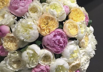 Фото компании ИП Flowers Rossa Цветы & Подарки 6