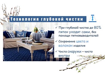 Выездная химчистка ковров и мебели в Одинцово и Одинцовском районе с 09.00 до 21.00